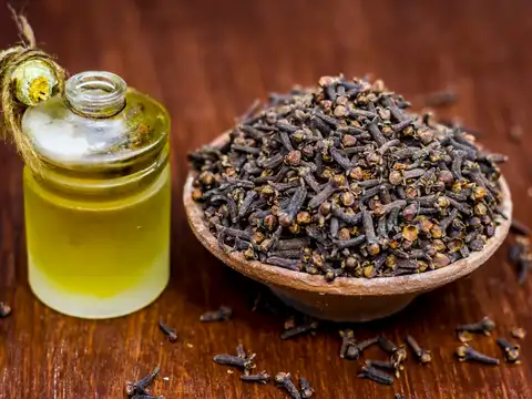 Clove Oil