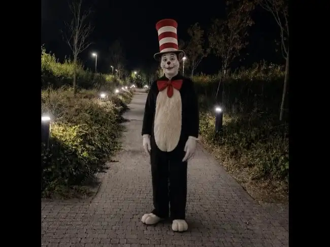 Cat in the hat trend
