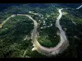 A 2026 study examined 135 bird species over 16 years in Peru&rsquo;s Amazon and found that satellite measurements of forest conditions predicted bird occurrence better than traditional habitat categories, suggesting remote sensing could improve biodiversity monitoring across vast tropical forests