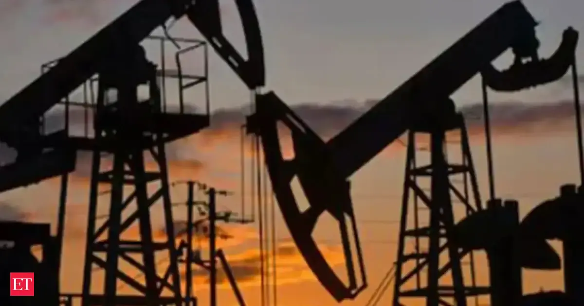 The fight over oil beneath Assam’s park 