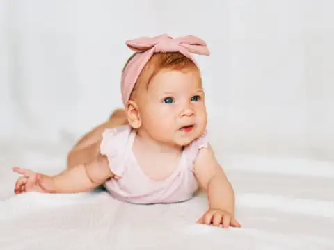 Olivia- Olive Tree