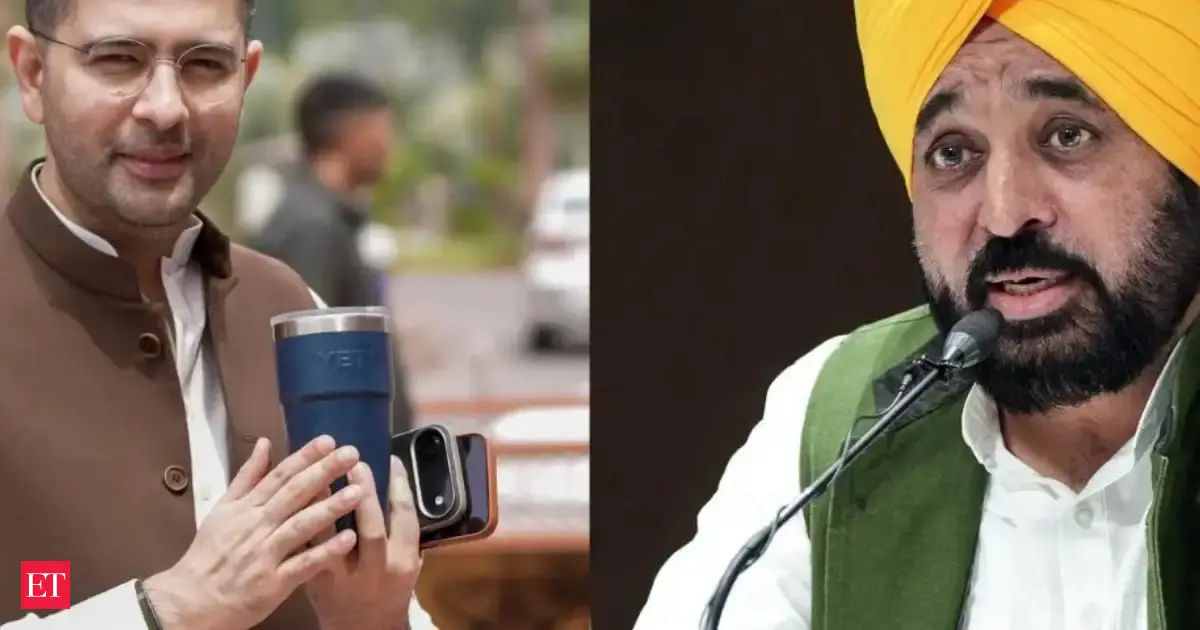 Raghav Chadha's name deleted from Punjab voter roll, Rajya Sabha MP alleges 'political vendetta'