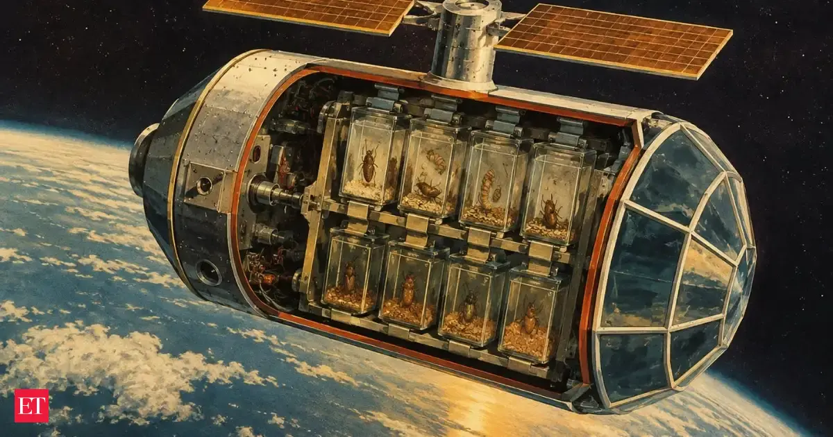 In 1967, NASA flew flour beetle pupae on Biosatellite II for 45 hours; radiation and weightlessness raised wing abnormalities in flight from 29.9% to 44.8%