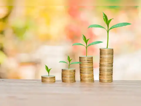 Largecap mutual funds