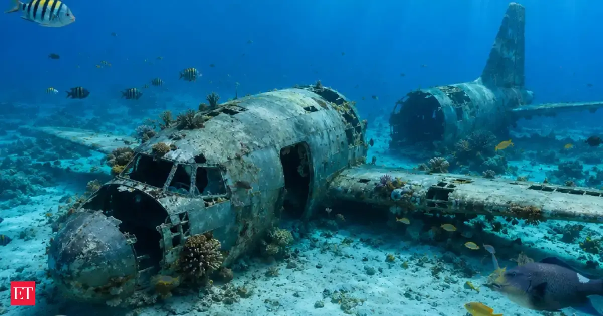 In 2017, Jordan sank a 100-foot C-130 Hercules cargo plane off Aqaba; marine life has been colonizing it ever since