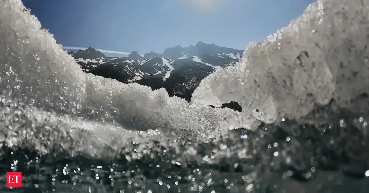 Switzerland Is Putting Sheeps Wool On A Melting Glacier To Fight Climate Change Heres Why Scientists Think It Could Work