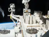 In 2015, Japan exposed bacteria outside the ISS for 3 years; some clumps survived, while thicker ones were estimated to last longer
