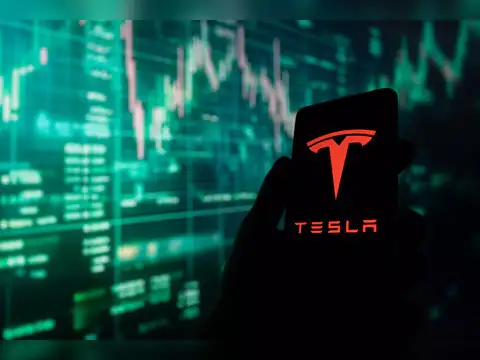 Tesla shares rally 