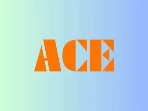 Action Construction Equipment