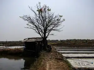 El Nino may intensify through February 2027, worsening India’s heat and rainfall risks