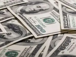 India's forex kitty