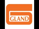 Gland Pharma block deal: Fosun Pharma divests 99 lakh shares worth Rs 2,800 crore
