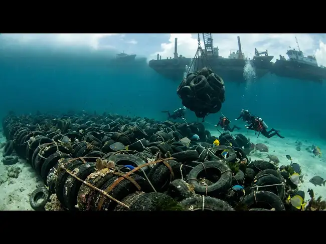 In 1972, Florida dumped 2 million tires into the ocean to build a reef; decades later, the military had to remove them<br>