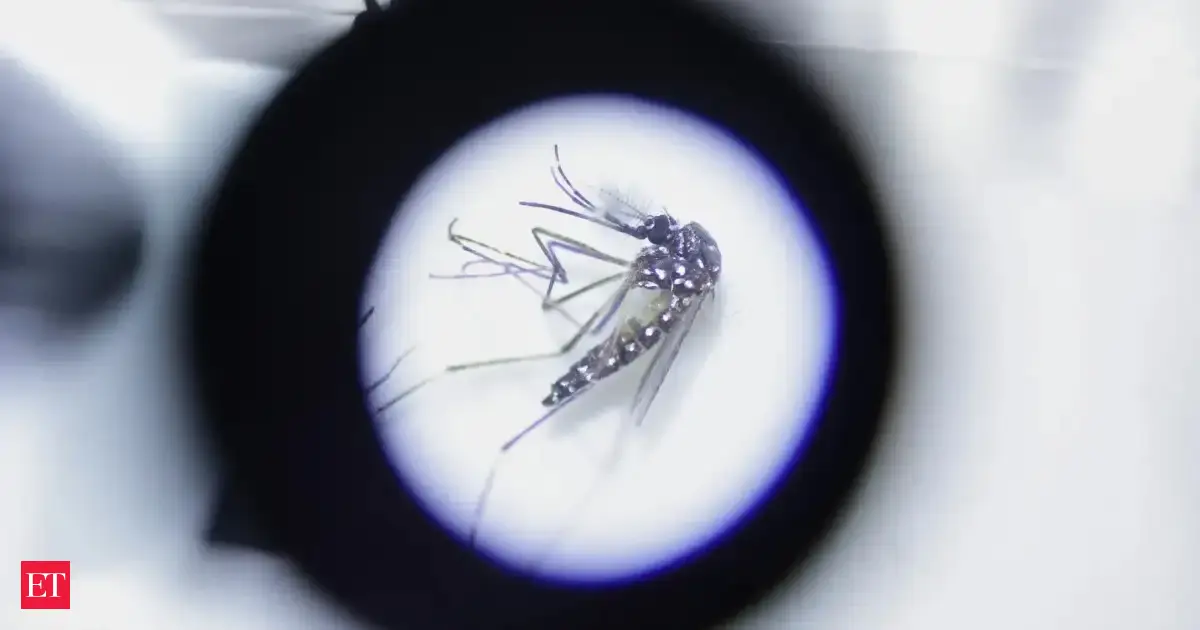 Why are you always covered in mosquito bites while others escape untouched? Scientists uncover the hidden skin chemistry that may make some people irresistible to mosquitoes