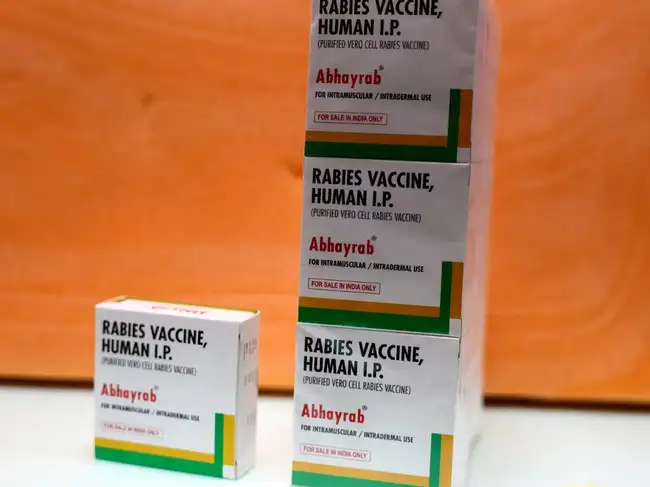 Indian Immunologicals stated seized rabies vaccine vials were not its product