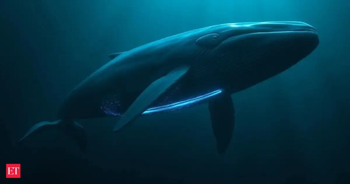 A 2003 study shows how blue whale sounds travel more than 1,500 kilometers through a hidden ocean corridor discovered in