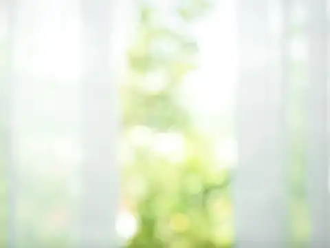 Give mint enough sunlight and water