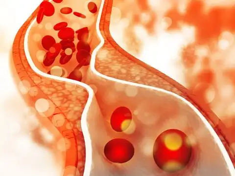 It Protects Nitric Oxide, Which Keeps Blood Vessels Relaxed