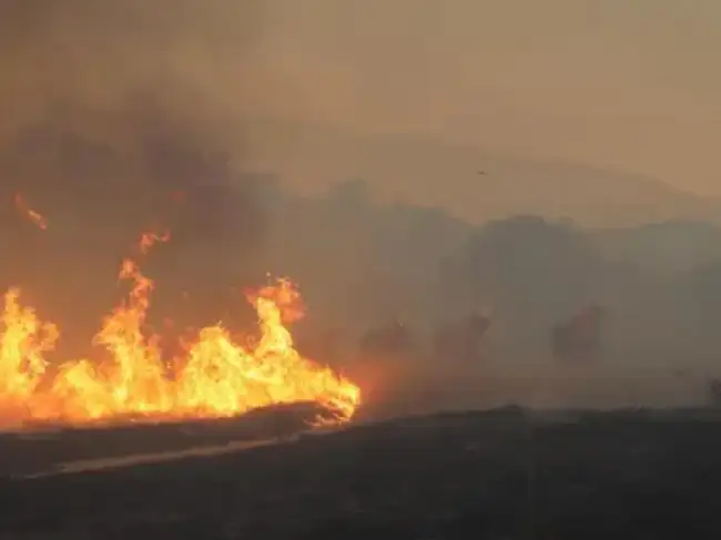 Wildfire in western US' Nevada destroys dozens of homes, injures 7