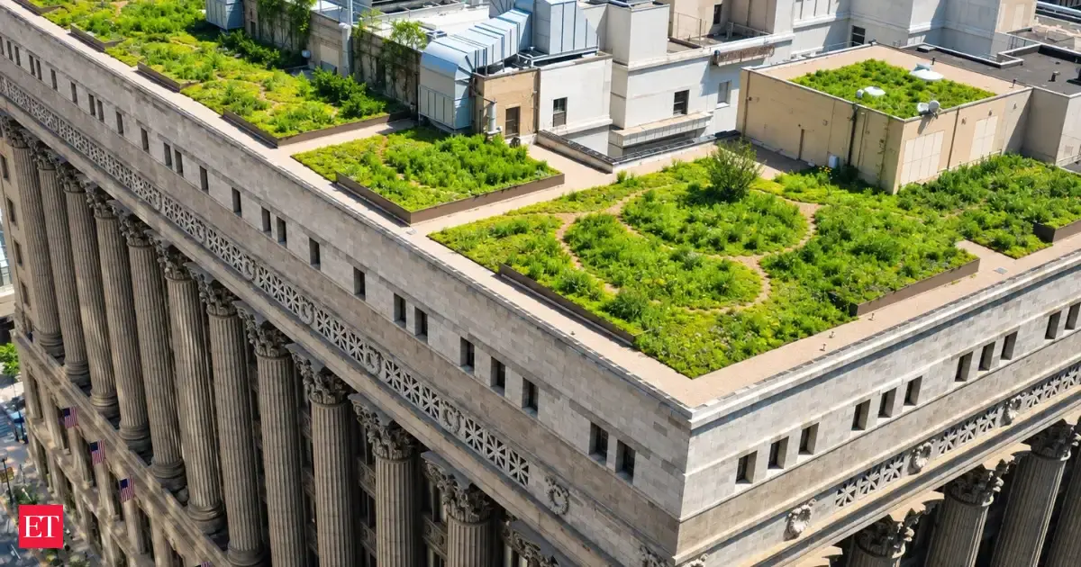 Chicago planted a 20,300-square-foot green roof on City Hall; EPA says its surface can be about 100&deg;F cooler than nearby conventional roofs and saves nearly $5,000 in energy each year