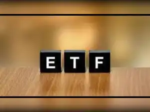 India-listed US equity ETFs surge up to 19%, defying Wall Street<br>