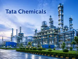 Tata Chemicals sets up review committee to decide on Kenya operations