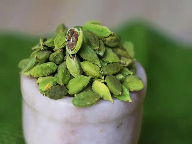 How to make Ganesh Chaturthi special Ukadiche modak: 6 simple steps ...