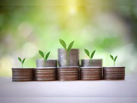 Four smallcap funds