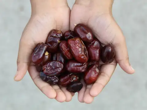 Dates