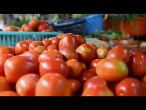 California researchers mixed discarded tomato waste into soil and covered it for biosolarization<br>