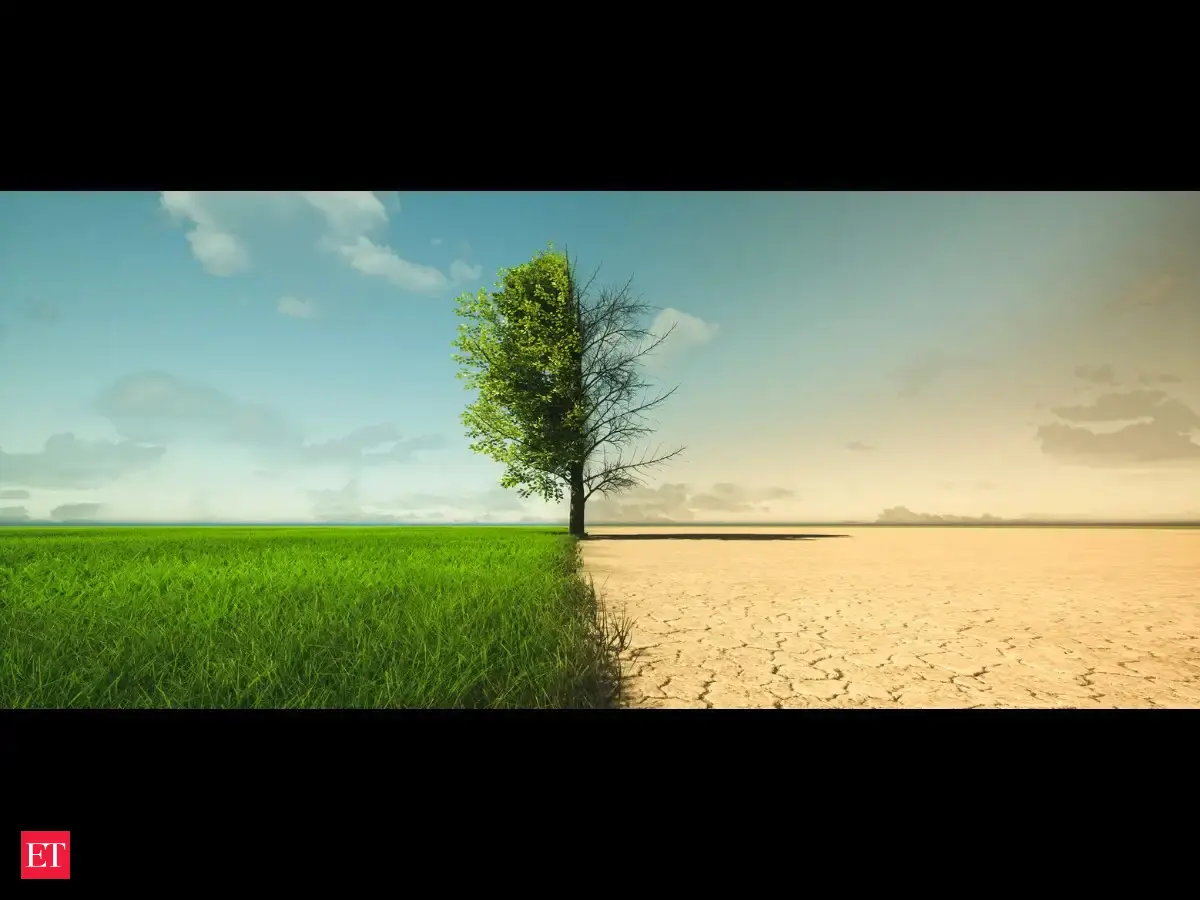 India outlines strategy to revitalize dryland farming with water harvesting and digital tools
