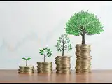 Best Mutual Funds to Invest: Discover the Best Mutual Funds to Invest ...