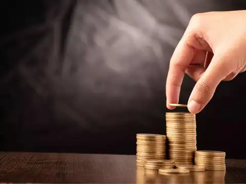 ​For whom are smallcap mutual funds suitable?