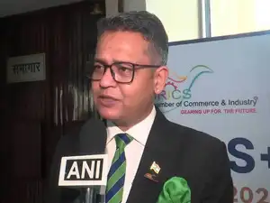 India needs stronger export push as energy imports drive trade deficits with BRICS nations: BRICS CCI Chairman