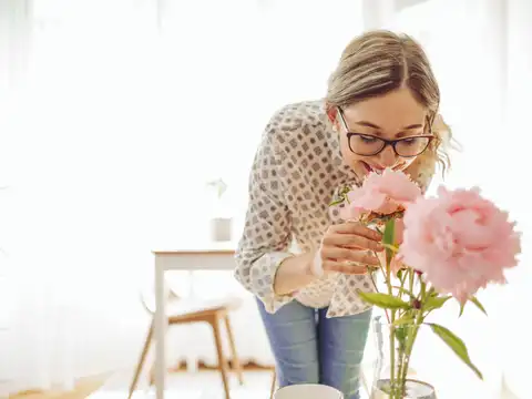 Fresh Flowers