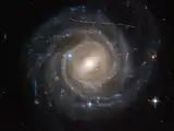 In 2019, 11,482 Hubble Asteroid Hunter volunteers helped train an AI that scanned 37,000 Hubble images; the combined effort uncovered 1,701 asteroid trails, including 1,031 unknown objects