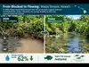 fish passage barrier removal: Latest News & Videos, Photos about fish ...