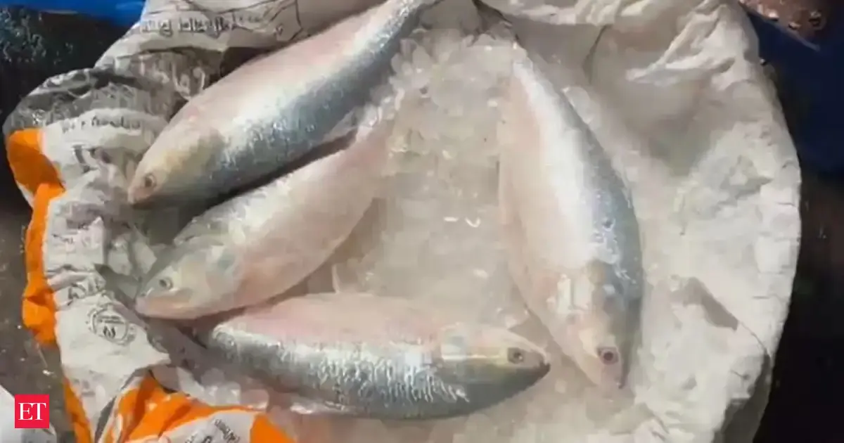 In reverse flow, India exports 500 tonnes of hilsa to Bangladesh in two months: Fish traders