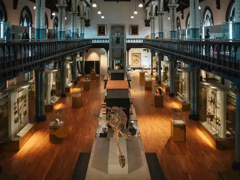 From the Louvre to the Hermitage: 7 countries for museum lovers