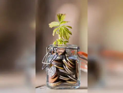Parag Parikh Flexi Cap Fund