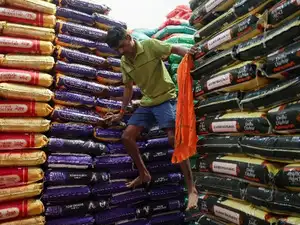 FILE PHOTO: A worker climbs down sacks of rice inside a warehouse at a wholesale market, in Navi Mumbai