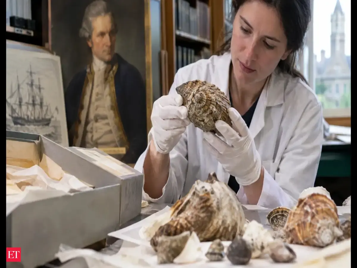 In the 1980s, rare shells linked to Captain Cook were thrown into a university dumpster; 40 years later, the forgotten collection returned to England's heritage archives