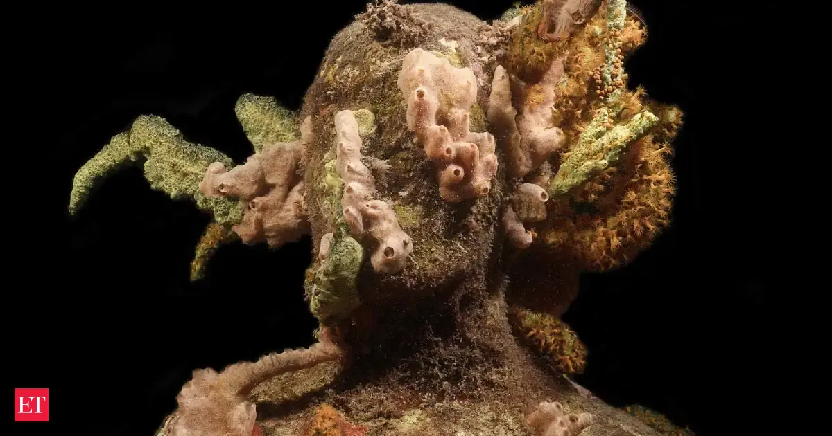 In 2006, an artist installed 75 human figures off Grenada after a hurricane damaged its reefs; corals later colonized them alongside parrotfish, shrimp and fireworms