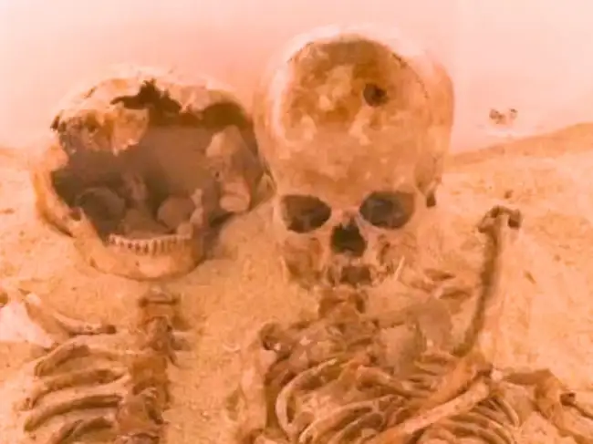 What did humans use as drugs 25,000 years ago? Ancient teeth reveal a surprising psychoactive habit that began long before farming