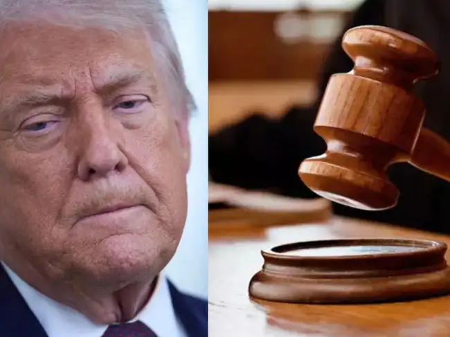 Trump attacks Supreme Court after mail-in voting ruling, criticises justices he appointed