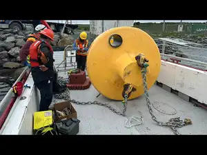 How 285 reef balls are turning an ocean desert into a thriving ecosystem in Newfoundland and Labrador’s Placentia Bay<br>