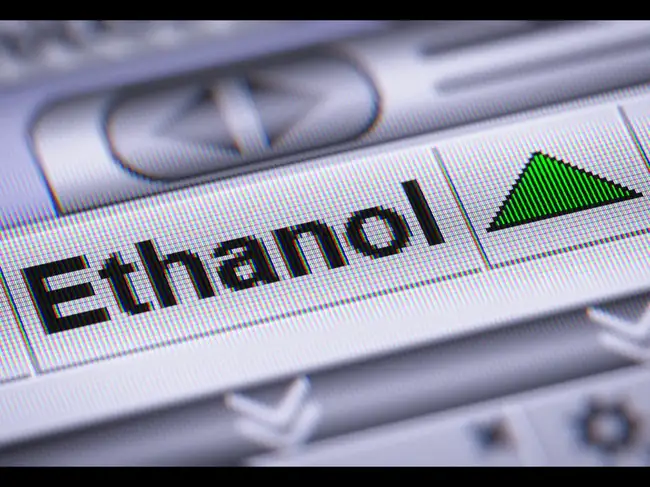 The US has sought details from India on rice use for ethanol, alleging excess stocks beyond food security needs, while the WTO is set to discuss the issue later this month.