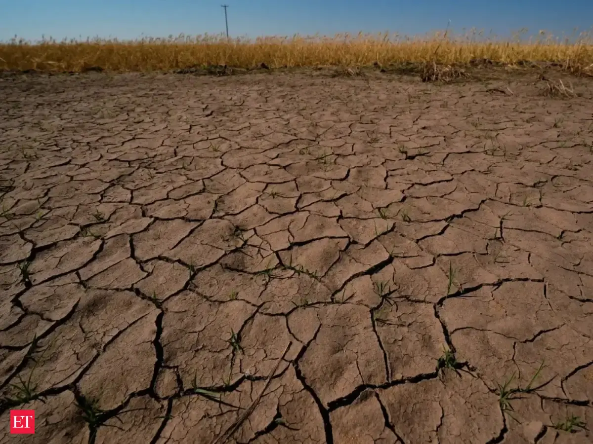 El Niño drives drought across 53% of India, threatening kharif and winter crops