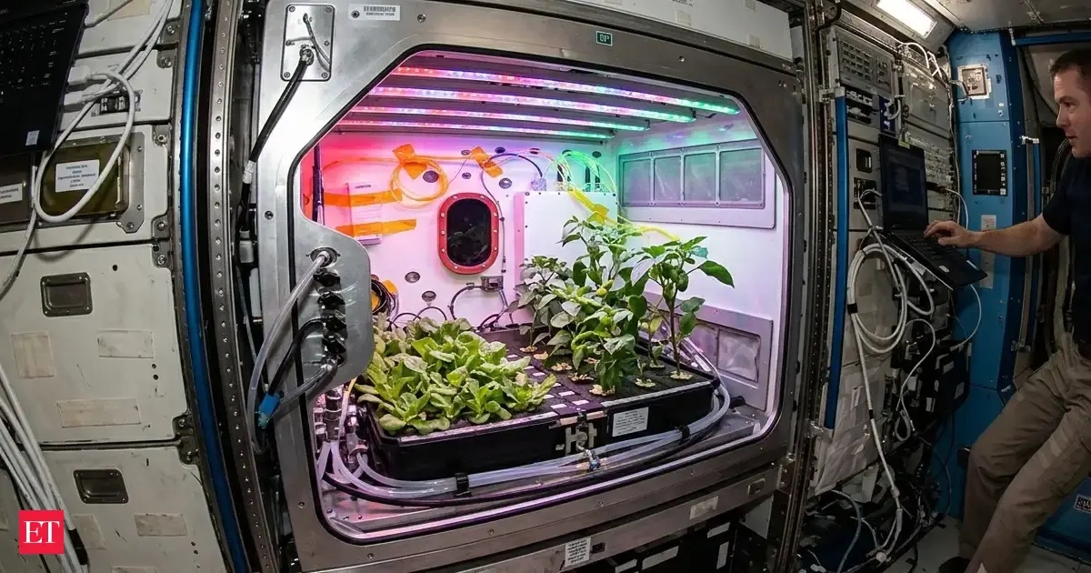 In 2017, a fully automated facility for plant bioscience research was launched to the International Space Station: What NASA studied in space?