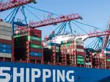 DGFT to set up central unit for trade applications